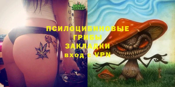 индика Балабаново